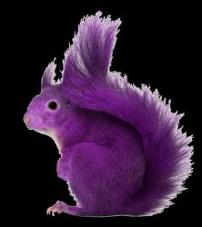 User Profile: Purplefriend9