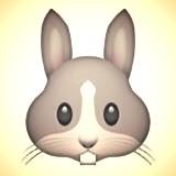 User Profile: laurabunny