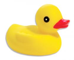 User Profile: RubberDucky