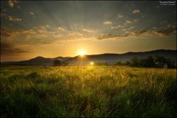 User Profile: imaginativeCountry5508