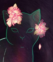 User Profile: friendlySpruce9309