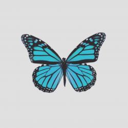 User Profile: sskye