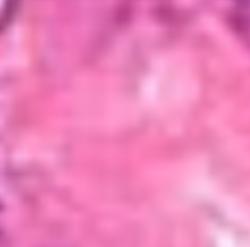 User Profile: softtiissue