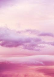 User Profile: aliyah01