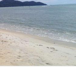 User Profile: sympatheticBeach5853