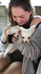 User Profile: sincerelybubbles