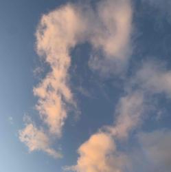 User Profile: decisiveTangerine8202