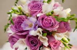 User Profile: optimisticLime9500