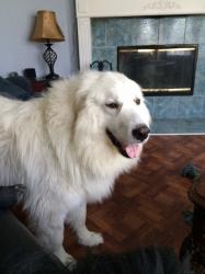 User Profile: Mooncat650