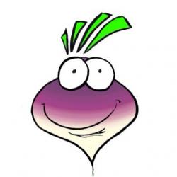 User Profile: FancifulTurnip987