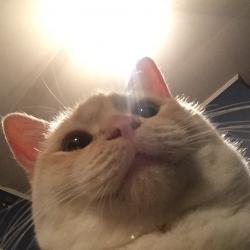 User Profile: seraphyms