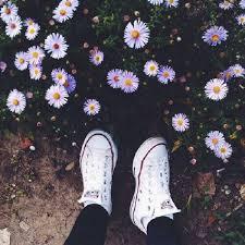 User Profile: FieldsofDaisiesandFairies