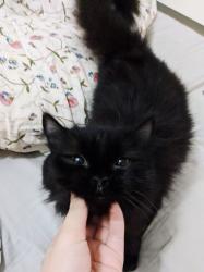 User Profile: adinaaa