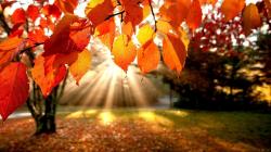 User Profile: AutumnInTheAir