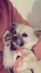 User Profile: Queenaroo