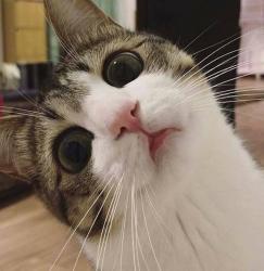 User Profile: Trina11