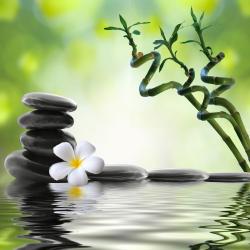 User Profile: MeaningfulQuotes
