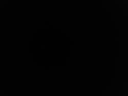 User Profile: reliableSpring6321
