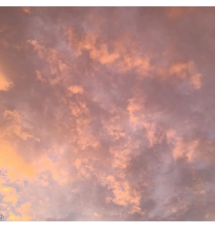 User Profile: PinkDay7529
