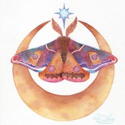 User Profile: mothgirl