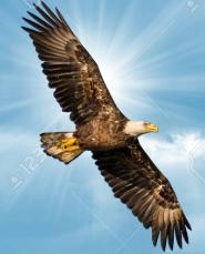 User Profile: soar2shine