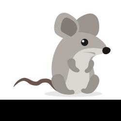 User Profile: TinyMousy