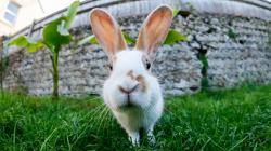 User Profile: n0tsosunny