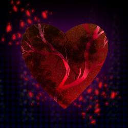 User Profile: Sparey