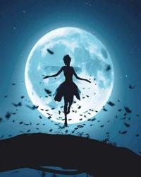 User Profile: SummerNightDream