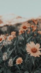 User Profile: Danceforlove