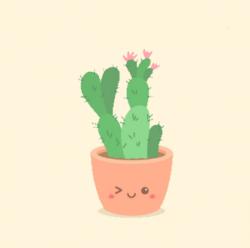 User Profile: tinycactus809