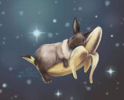 User Profile: Evobunny