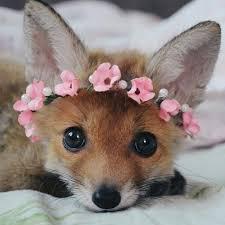 User Profile: creamycookie206