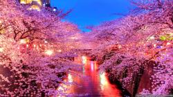 User Profile: raspberryNest3172