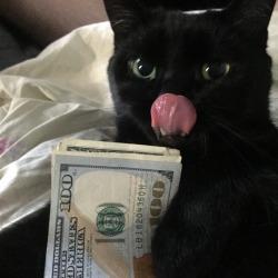 User Profile: trvxto
