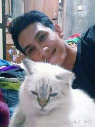 User Profile: gading29