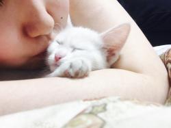 User Profile: LavenderisaBeautifulColor