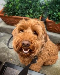 User Profile: Blessedboy