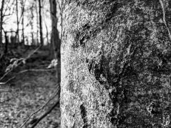 User Profile: discreetEast1912