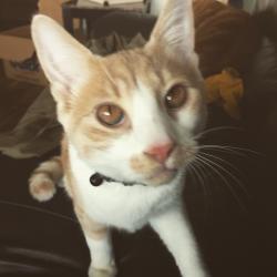 User Profile: Audrey7412