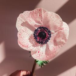User Profile: TealOcean344