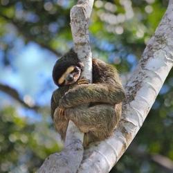 User Profile: Sloth23
