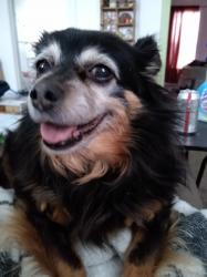 User Profile: ktlinn4