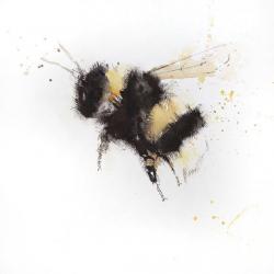User Profile: bumbleBee221B