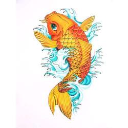 User Profile: CaptainKoi