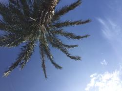 User Profile: CactiJack