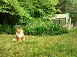 User Profile: Pond1232