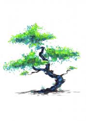 User Profile: Second2Rise