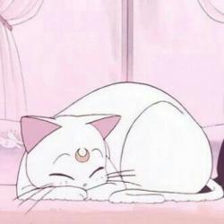 User Profile: AlliXxoo