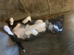 User Profile: Puppyyyy